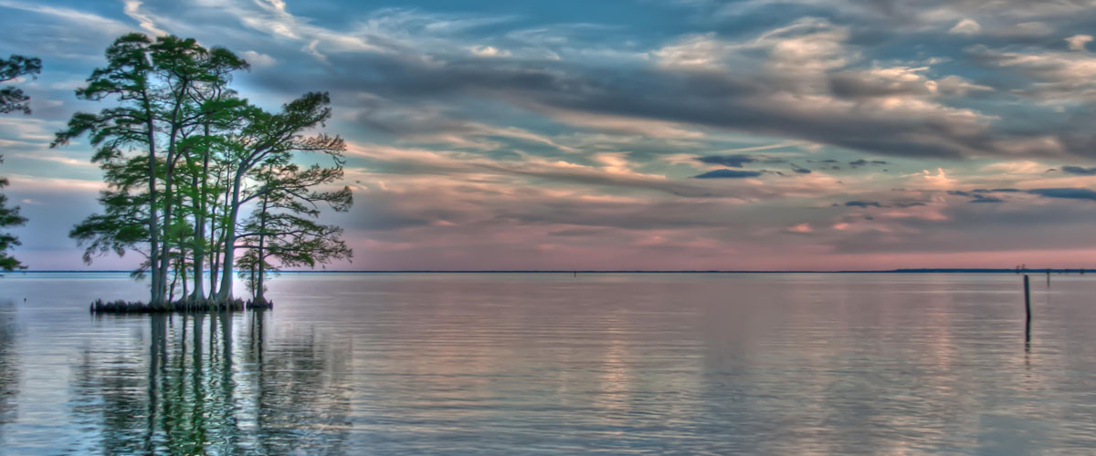 Bay with small island of trees