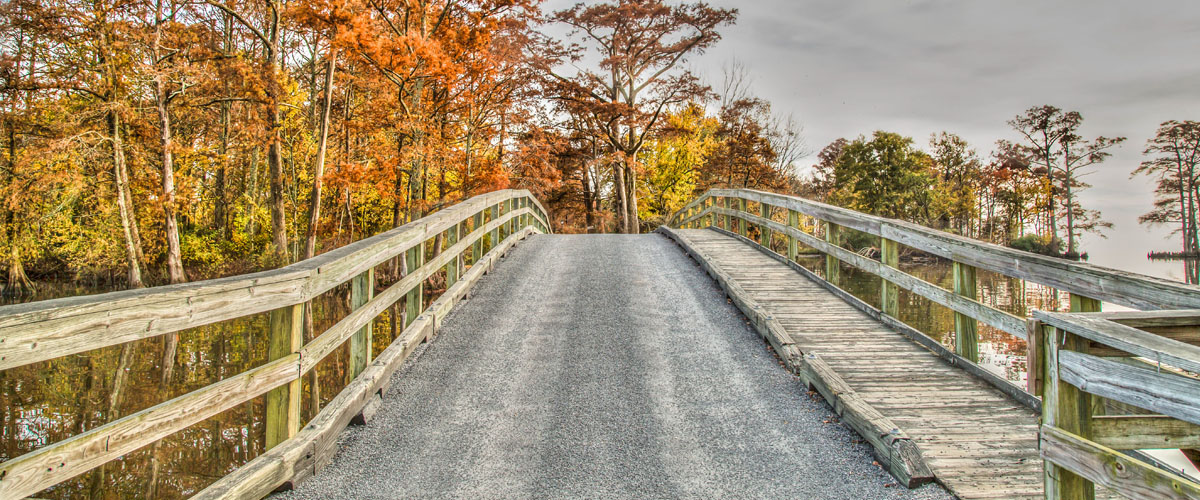 Hayes Bridge in Edenton, North Carolina with trees changing colors in the fall.