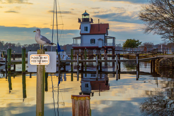 Docks in Edenton, NC