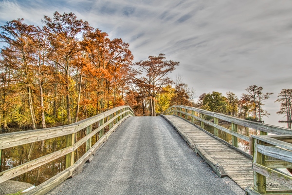 Hayes Bridge in Edenton, North Carolina with trees changing colors in the fall.